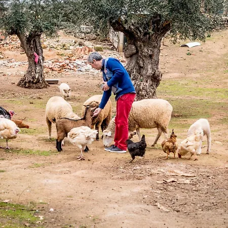 Quinta Manel Da Gaita Κατάλυμα σε φάρμα *