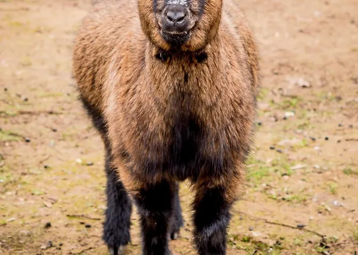 Alojamento de Turismo Rural Quinta Manel Da Gaita
